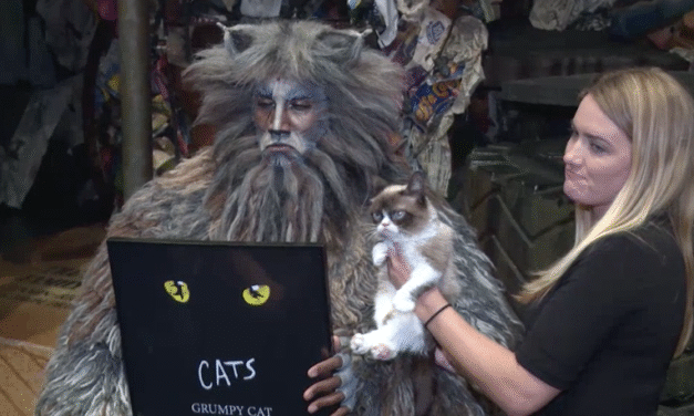 Grumpy Cat Makes Broadway Debut Alongside ‘Cats’ Friends