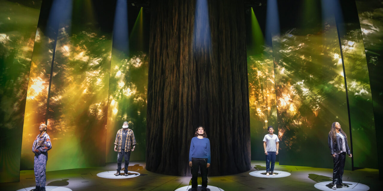Someone in a Tree: “Redwood” Opens on Broadway