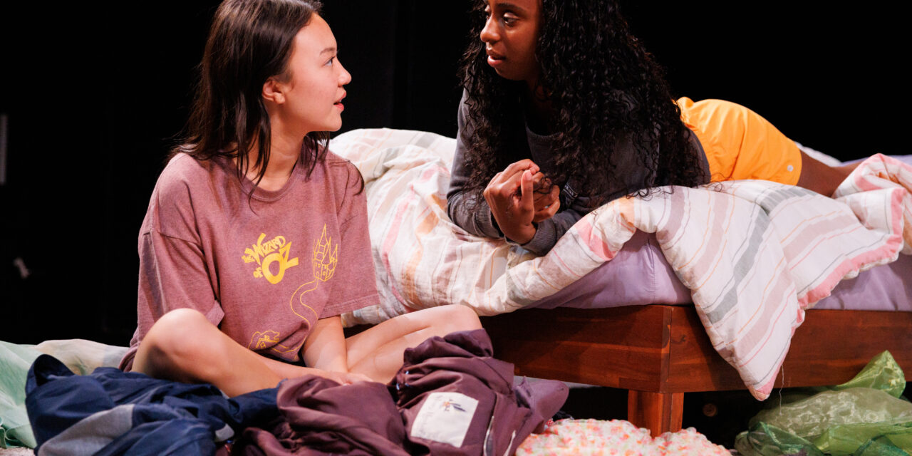TEENAGE ANGST RULES THE ROOST IN “DAD DON’T READ THIS” 
